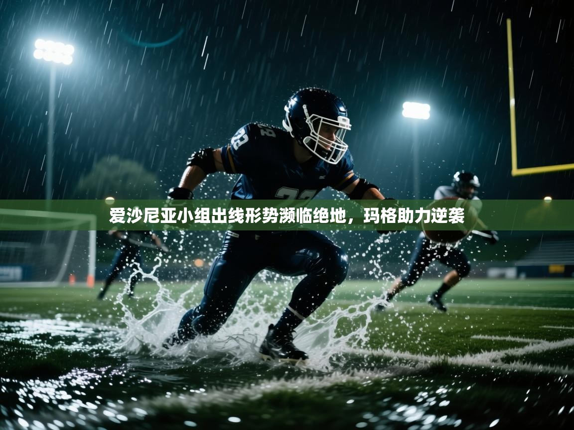 爱沙尼亚小组出线形势濒临绝地，玛格助力逆袭  第1张