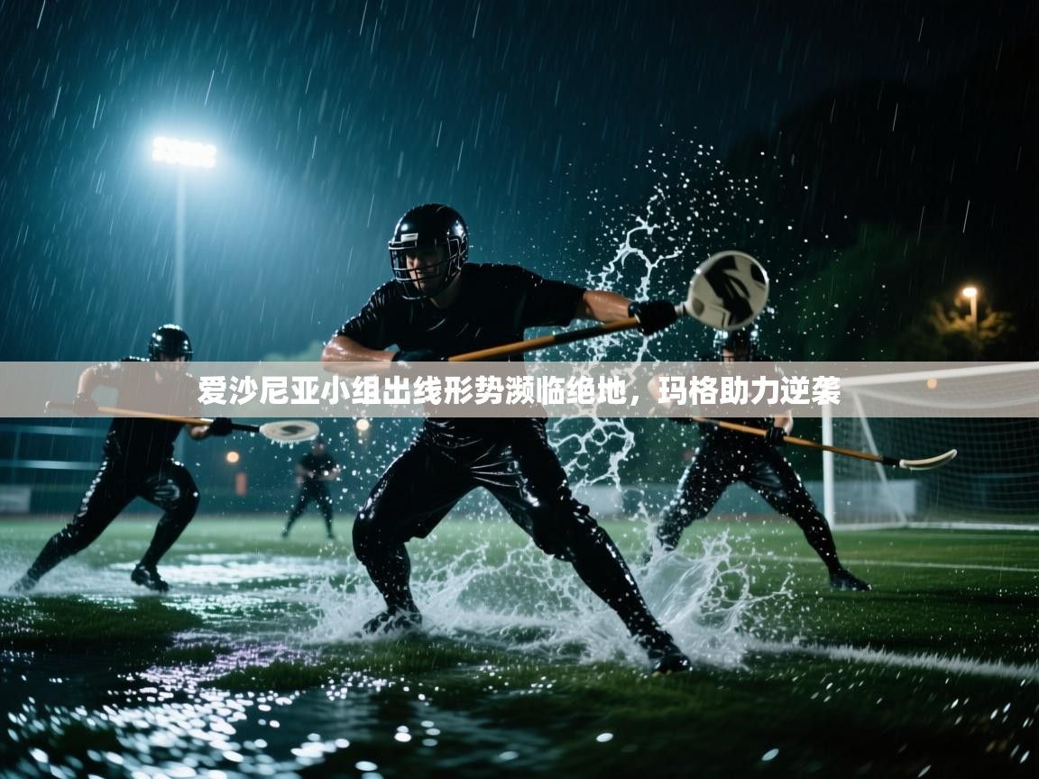 爱沙尼亚小组出线形势濒临绝地，玛格助力逆袭  第2张